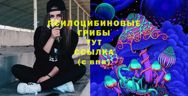 скорость Арсеньев